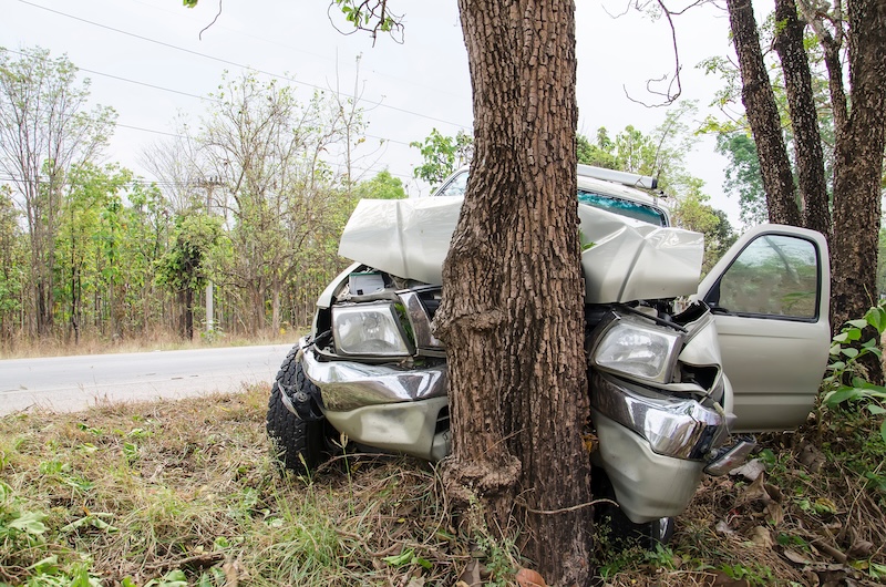car crash into tree